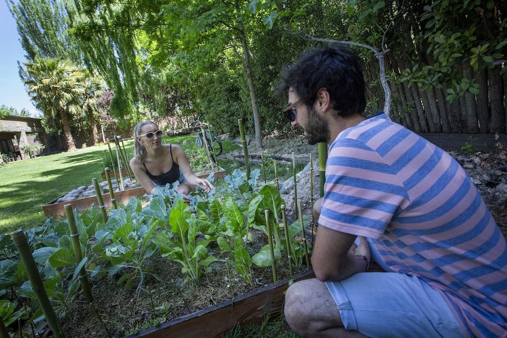 فندق Casa La Galeana - Eco Boutique تشاكراس دي كوريا المظهر الخارجي الصورة