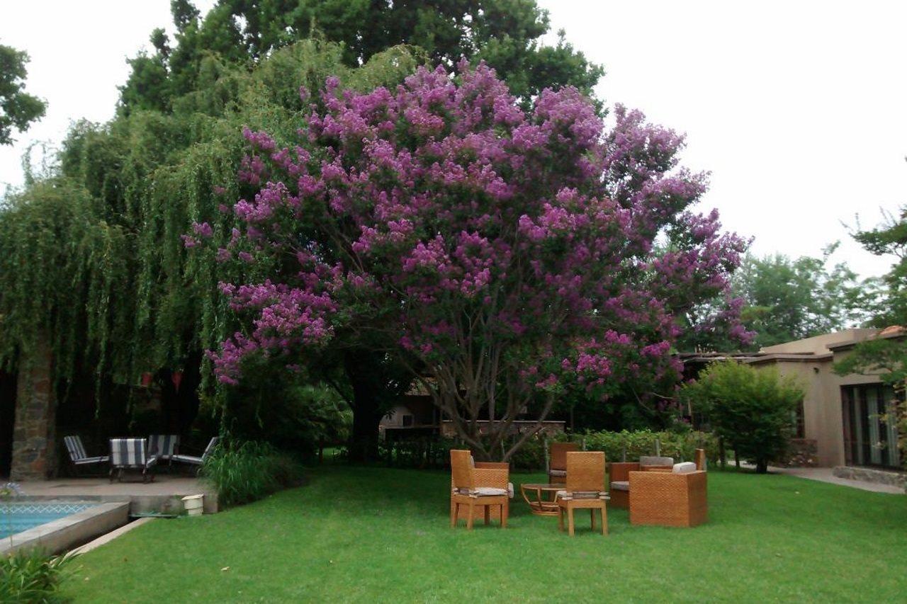 فندق Casa La Galeana - Eco Boutique تشاكراس دي كوريا المظهر الخارجي الصورة
